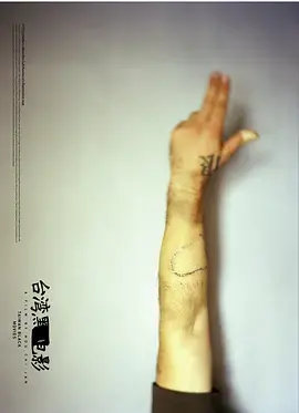 揭秘台湾影史禁忌之光：《台湾黑电影》深度剖析与文化解读