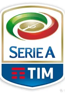 《意大利足球甲级联赛》：绿茵场上的激情碰撞与战术博弈，探索意甲的荣耀与魅力